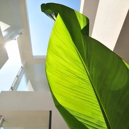 Eden Park Est, Avec Piscine Otel