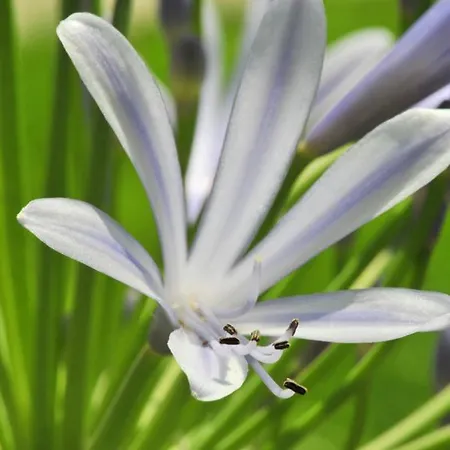Otel Eden Park Est, Avec Piscine Pau
