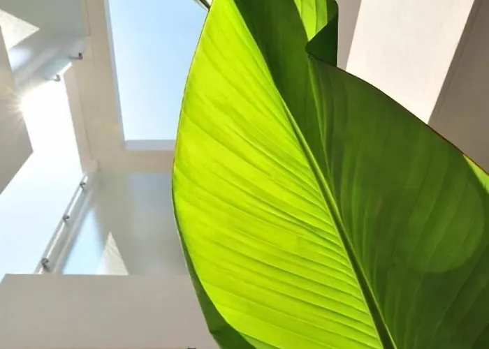 Eden Park Est, Avec Piscine Hotel