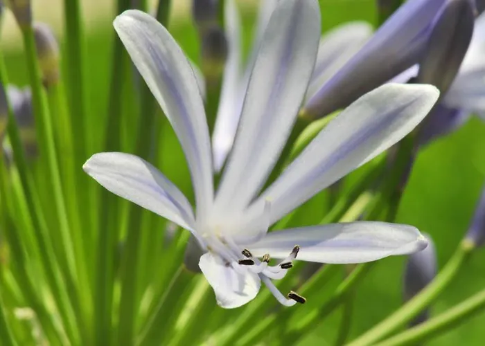 Hotel Eden Park Est, Avec Piscine Pau